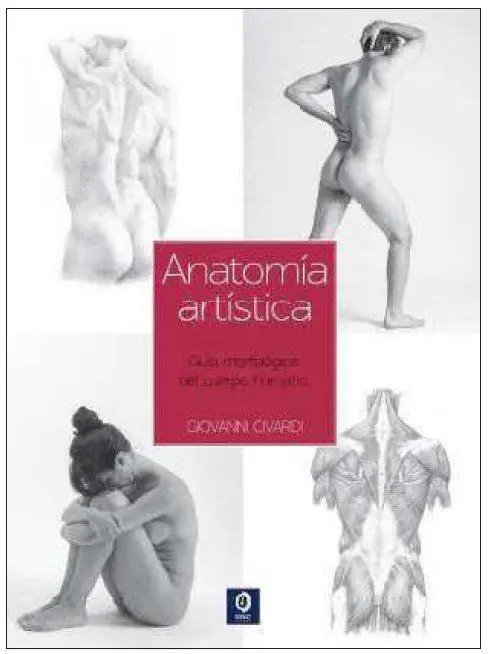 Guía Esencial del Dibujo Anatomía Artística