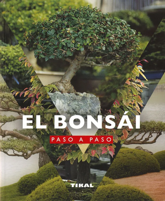 El Bonsái Paso a Paso