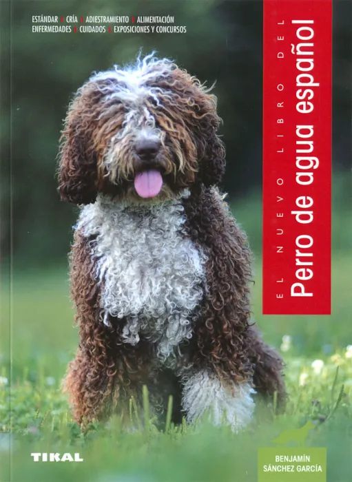 Perro de Agua Español