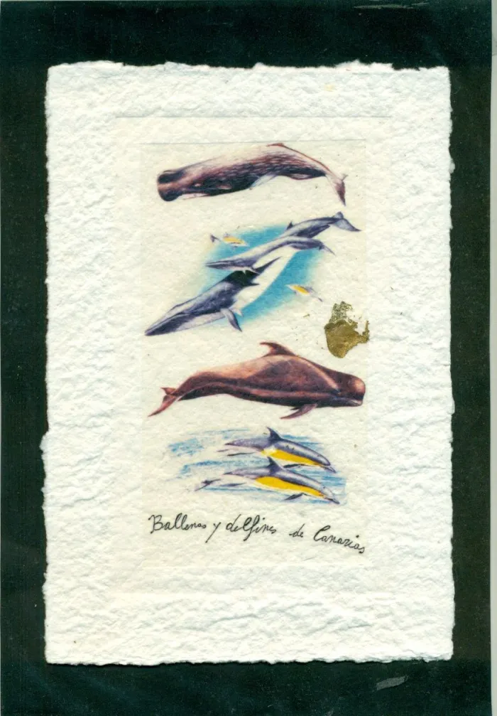 Ballenas y Delfines de Canarias - Láminas a Mano