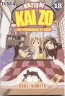 Katteni Kaizo Nº 18. Guarradas de Kaizo