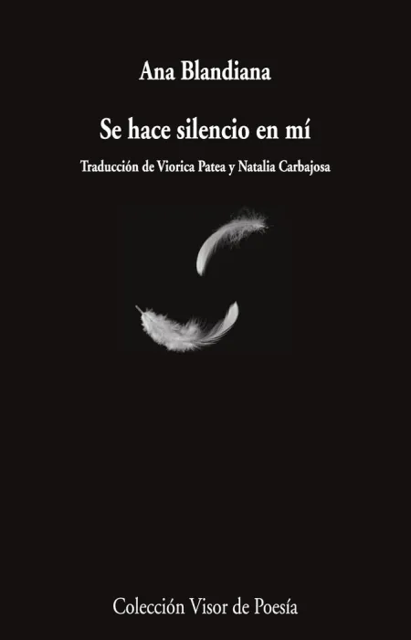 Se Hace Silencio en mí