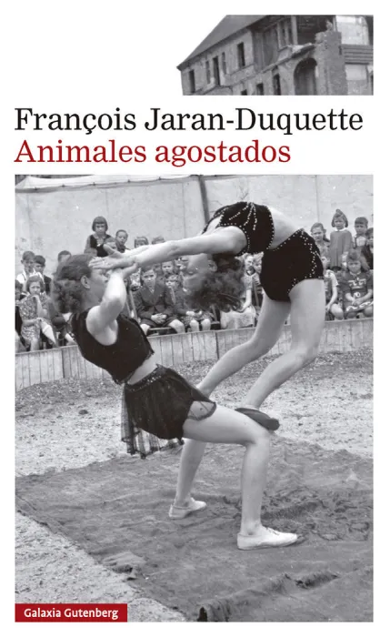 Animales Agostados
