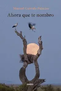 Ahora que te Nombro